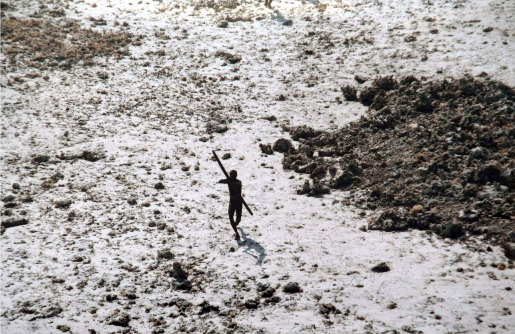 Sentille vise hélicoptère